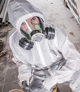  desinfeccion global alpha